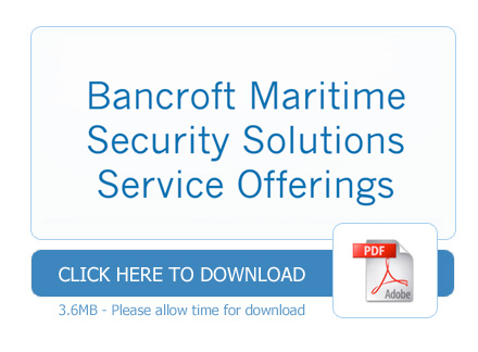 Download Security Solutions Service Offerings